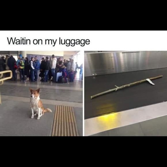 🐻 Woodsy Puzzle “The Awakening” - Picture 6 of 6